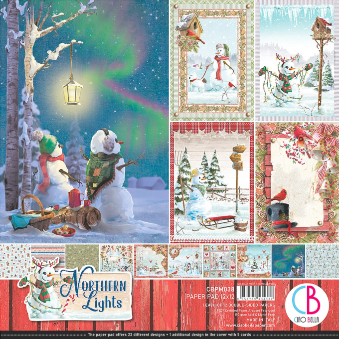 NORTHERN LIGHTS PAPER PAD 12"X12" 12/PKG