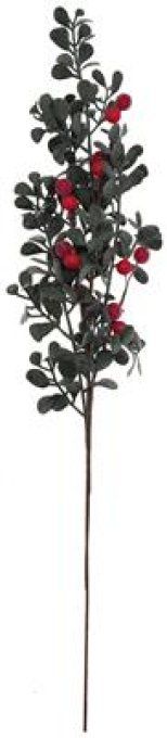 Branche W. Baies Rouges Paillettes