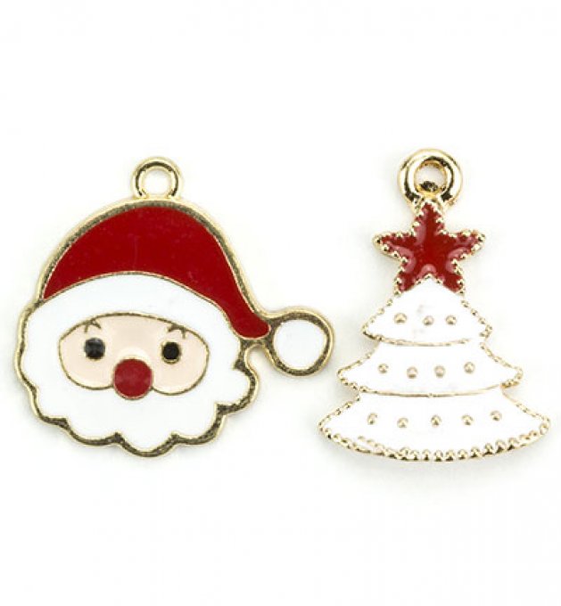 Charms lot de 2