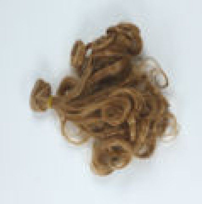 Cheveux de fée bouclés argentés 15 cm