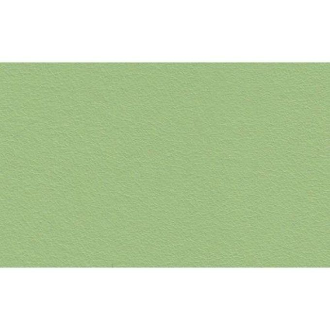 Feuille de cuir écologique Pistache 50x45 cm