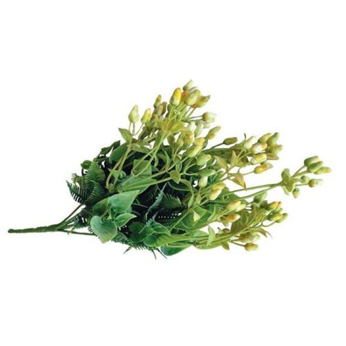 Eucalyptus Jaune Pastel