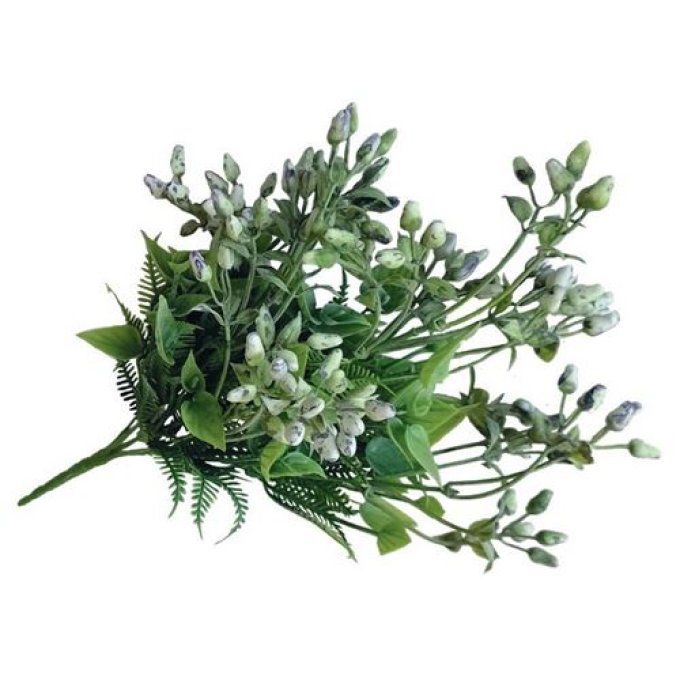 Glycine couleur eucalyptus