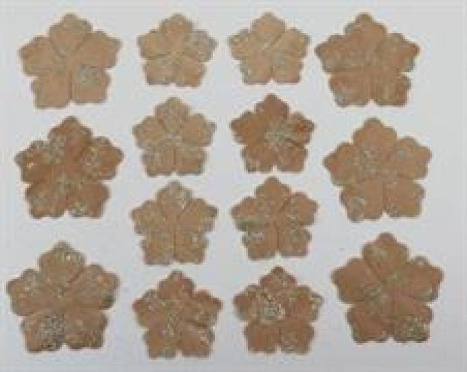 ROSA CANINA broderie de velours col.beige cm.25x30