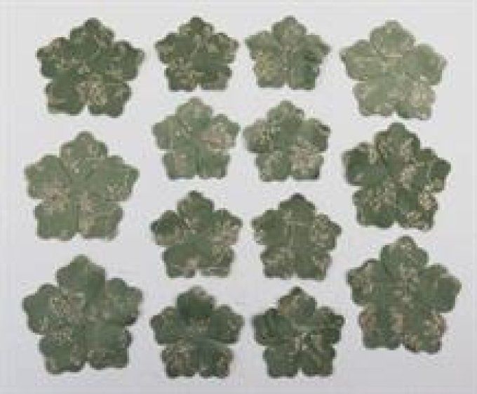 ROSA CANINA broderie velours col.sage cm.25x30