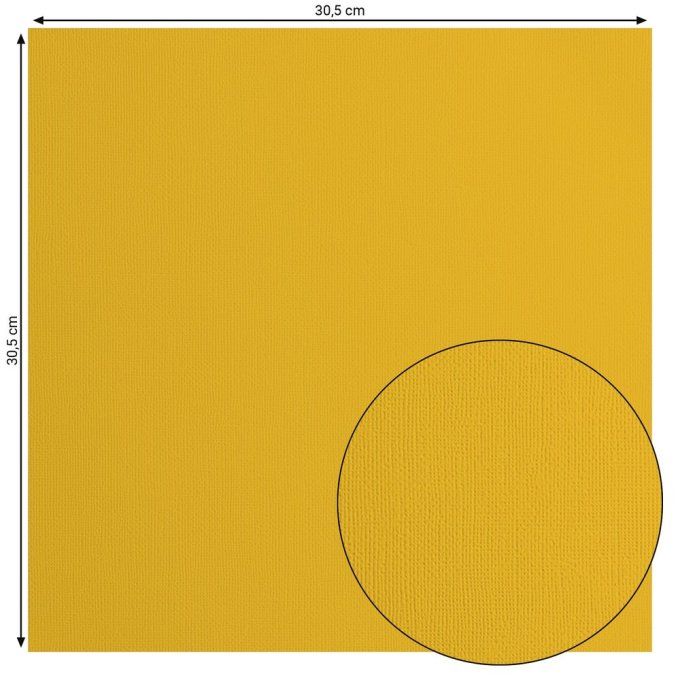 Florence • Papier Cartonné Texturé 30,5x30,5cm Bee X 20