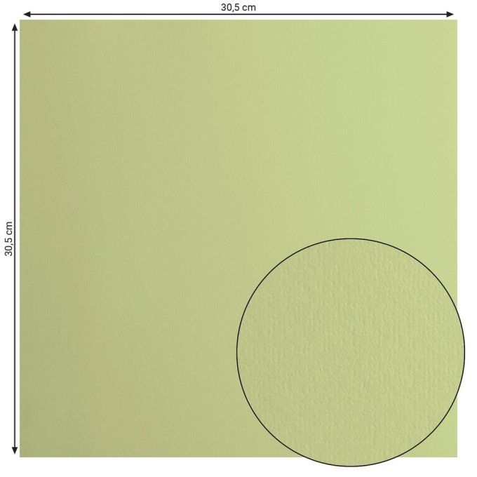 Florence • Papier Cartonné Lisse 30,5x30,5cm Anise X20