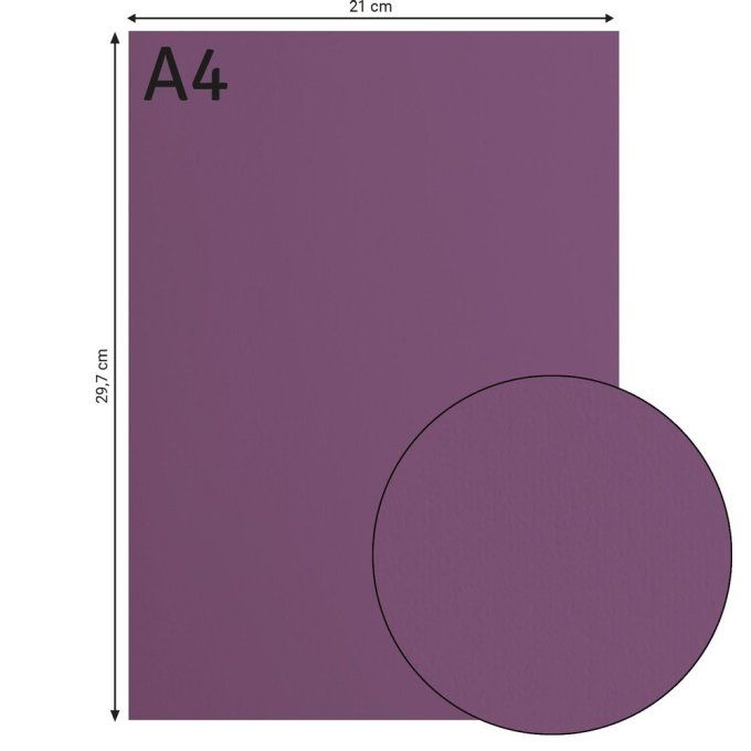 Florence • Papier Cartonné Lisse A4 21X29.7 cm  Clematis X 10