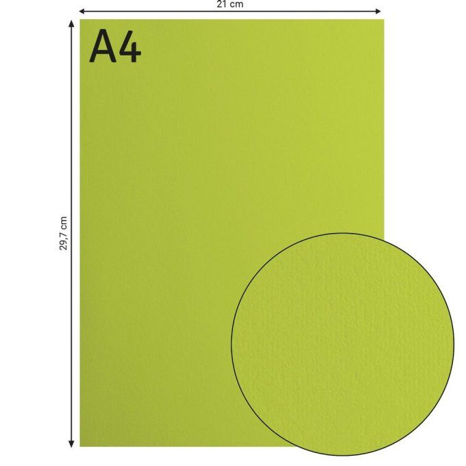 Florence • Papier Cartonné Lisse A4 21X29.7 cm  Lime X 10