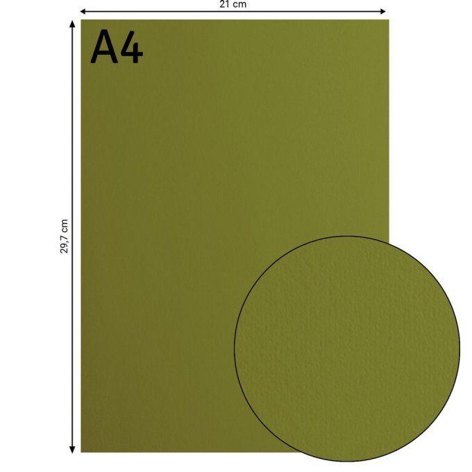 Florence • Papier Cartonné Lisse A4 21X29.7 cm  Olive X 10
