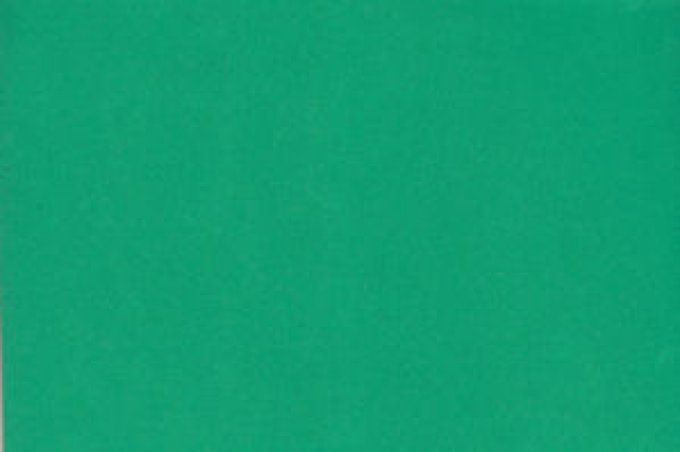 FOMMY / EVA TINTA UNITA 2mm Verde vivo