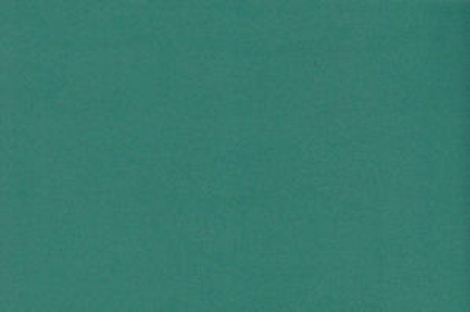 FOMMY / EVA TINTA UNITA 2mm Verde scuro