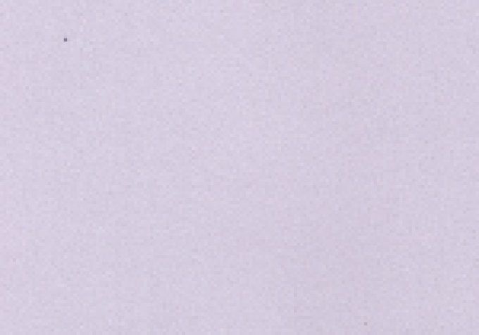 FOMMY / EVA SETA 0.7 mm Glicine