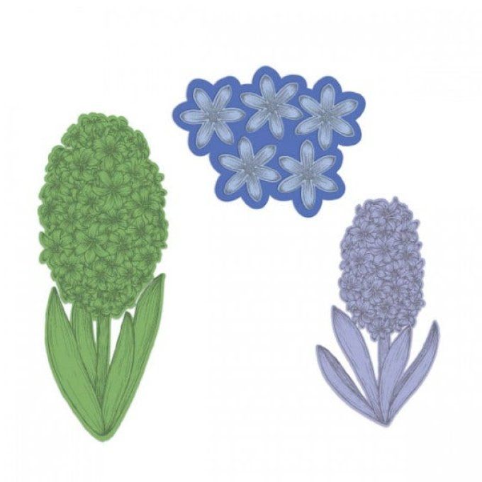 Tampons + Dies + Mold Fragrant Hyacinth
