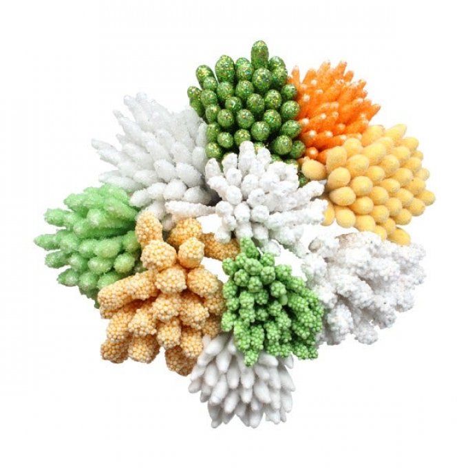 Étamines à pollen pastel - Moyenne