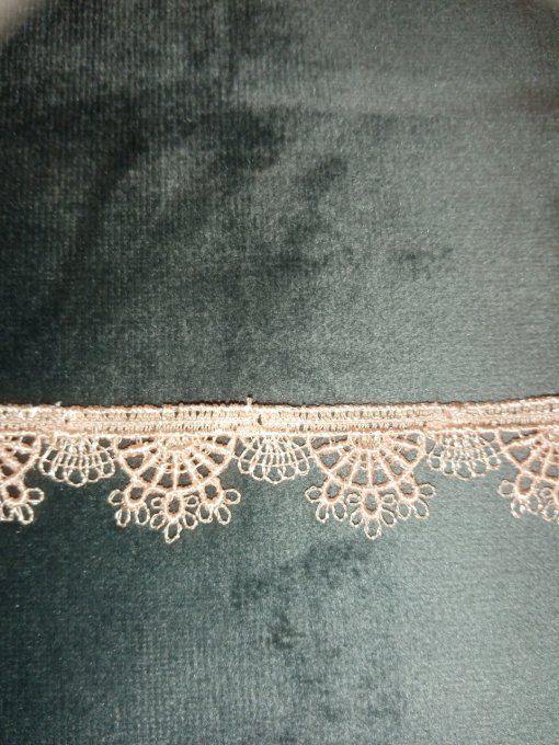 Dentelle saumon 50 cm