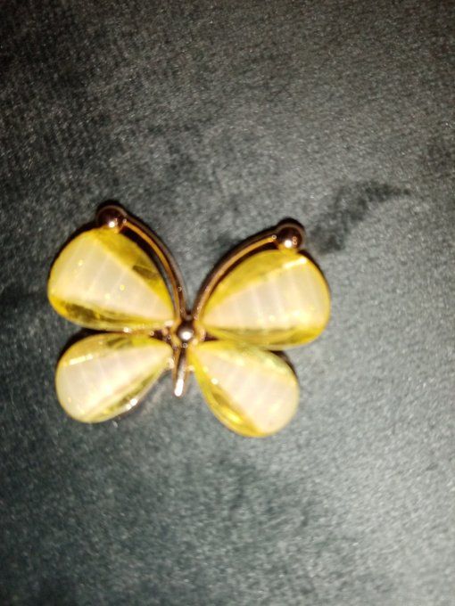 Embellissement pallions
