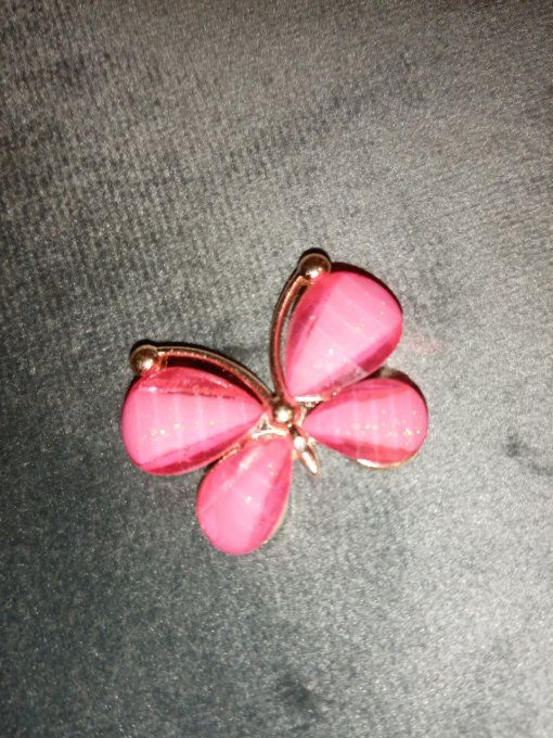 Embellissement pallions
