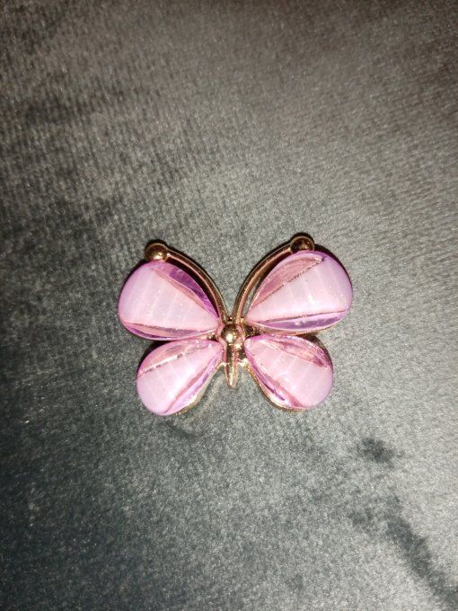 Embellissement pallions