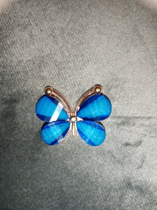 Embellissement pallions