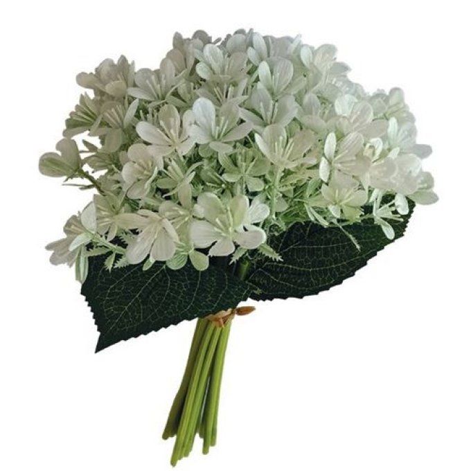 Bouquet de silène blanc