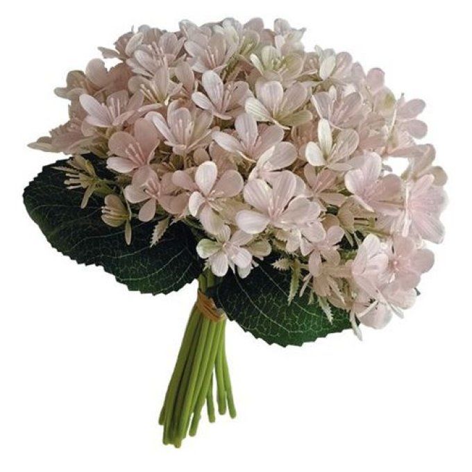 Bouquet de silène rose