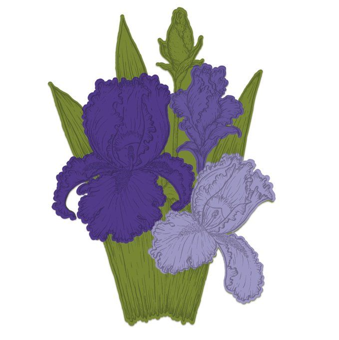Tampons + Dies Iris Garden Blooms