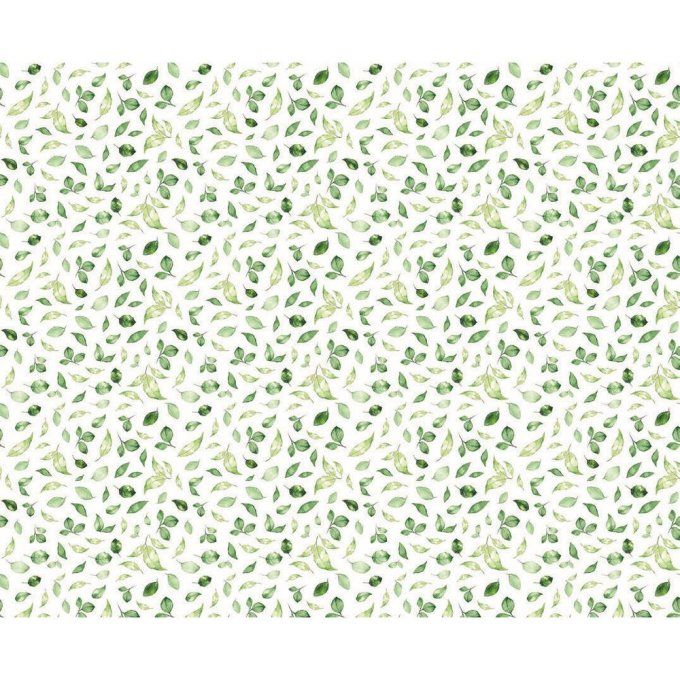 Tissu Jersey imprimé Capriccio Garden  cm 35 x 50